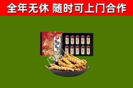 永年回收冬虫夏草价格