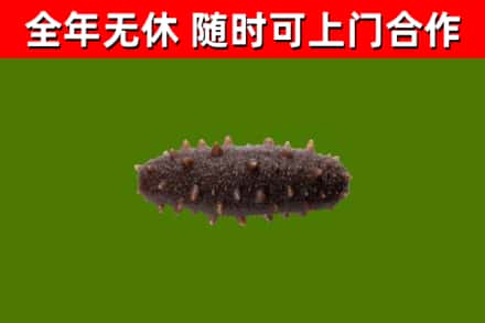 永年烟酒回收干海参.jpg